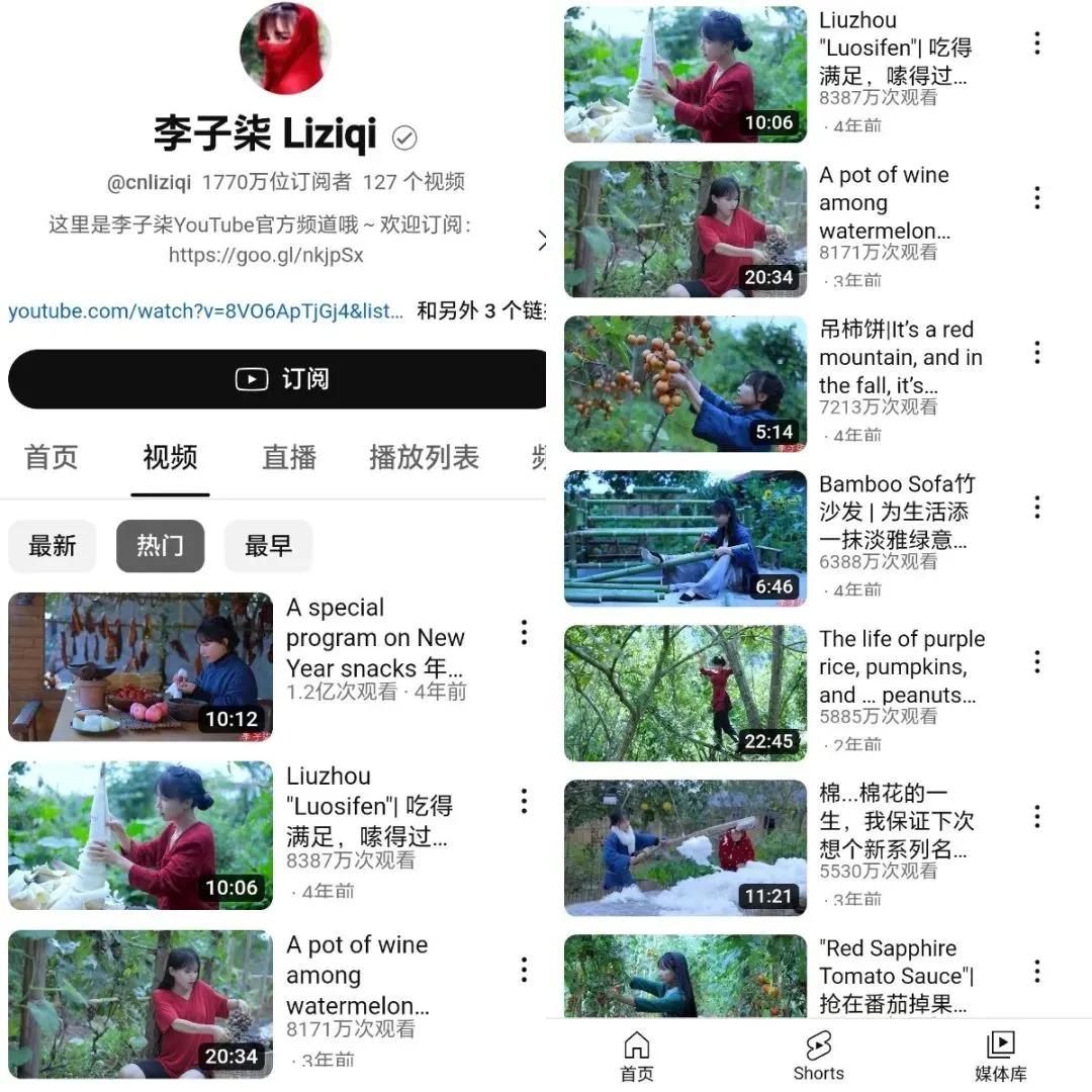 李子柒_新浪财经_新浪网