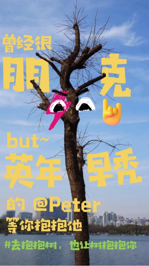 每一棵都有自己的肌理,体态,性格,别路过它们,去认识它们,抱抱它们