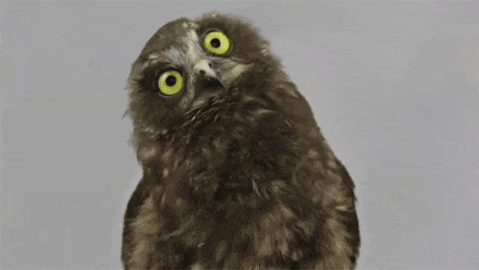 2021最新和平精英辅助_和平精英辅助_精英和平辅助怎么开