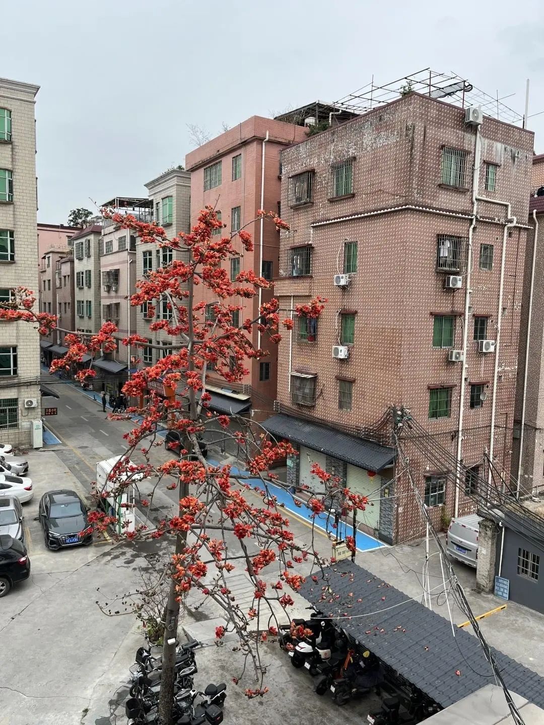 事关城中村改造广州这种情况可由政府主导