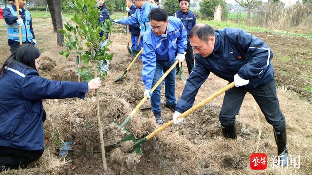 大家亲手种下的绿苗笑道:"我们种下的不仅仅是一棵桂花苗,一棵香樟苗