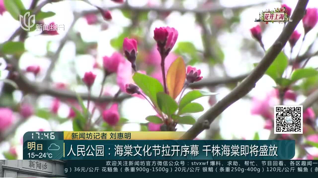 人民公园:海棠文化节拉开序幕 千株海棠即将盛放