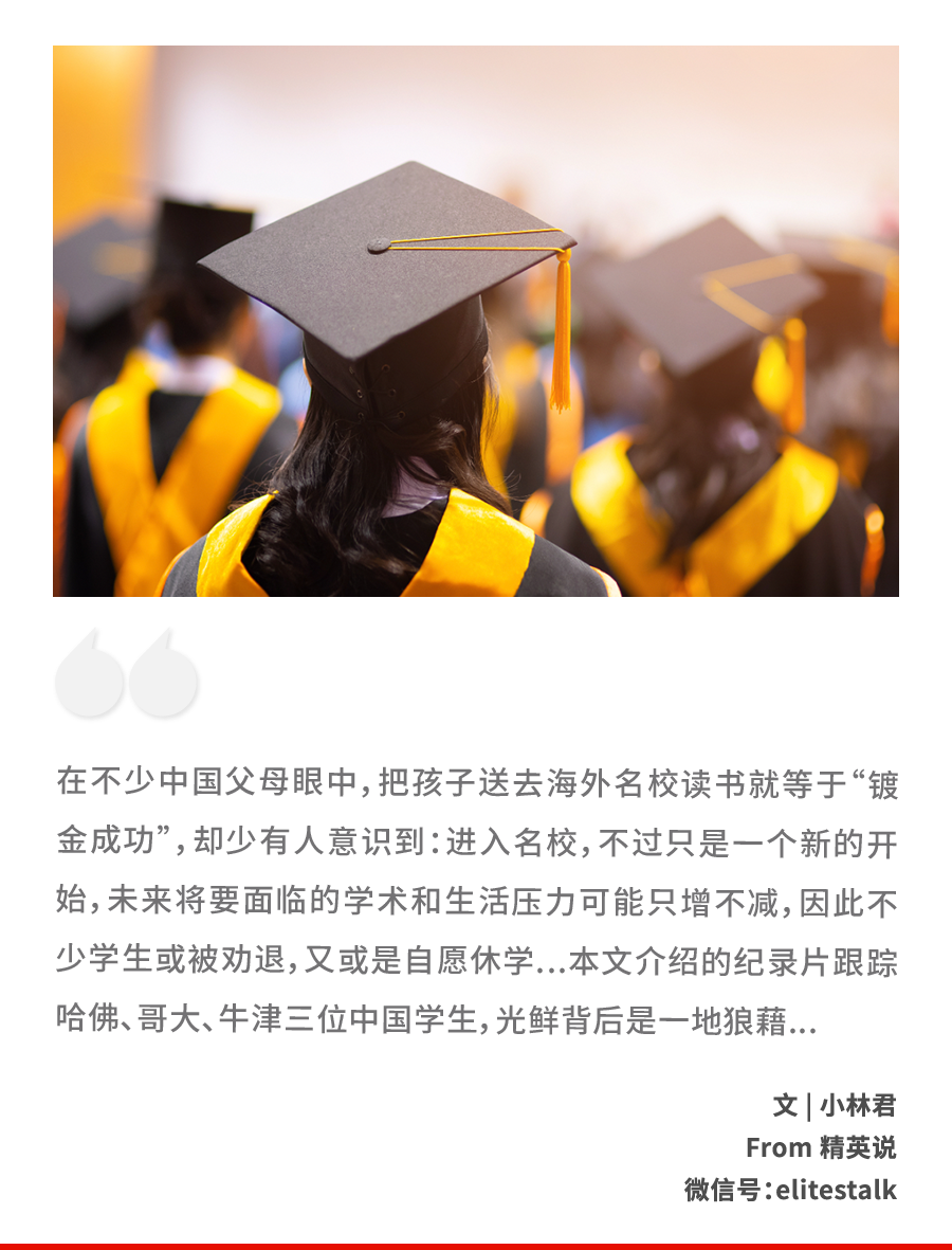 "跟踪哈佛,哥大,牛津3位中国学生,光鲜后的一地狼