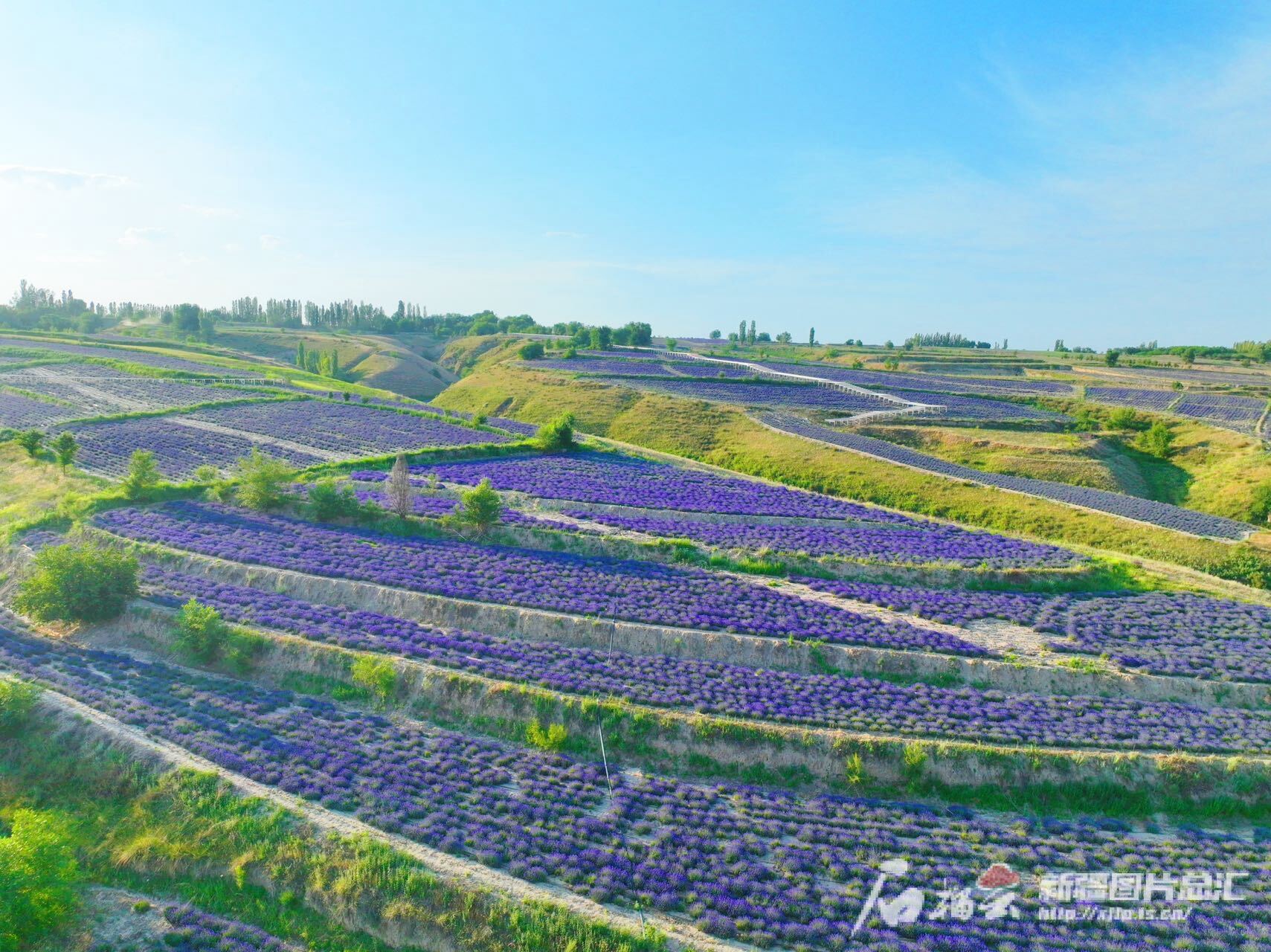 漫心忘忧谷景区(资料图).景区提供