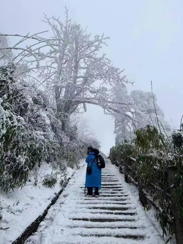 2月7日，陈小佳在峨眉山失联。