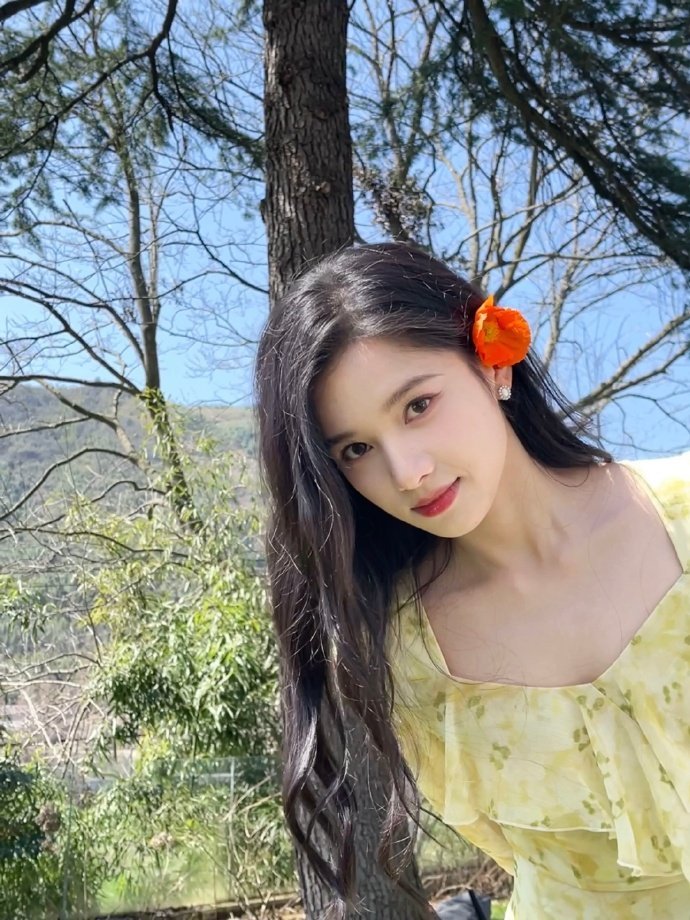 张婧仪春游随拍！看得出她是公主啊啊啊鲜花卷发红唇真的鲨疯了家人们！_新浪新闻