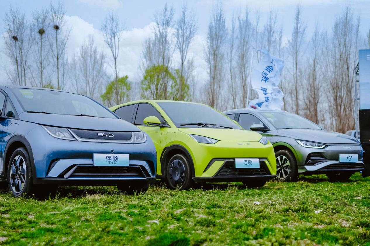 比亚迪海洋网海鸥,海豚,e2荣耀版上市品鉴会圆满落幕-新浪汽车