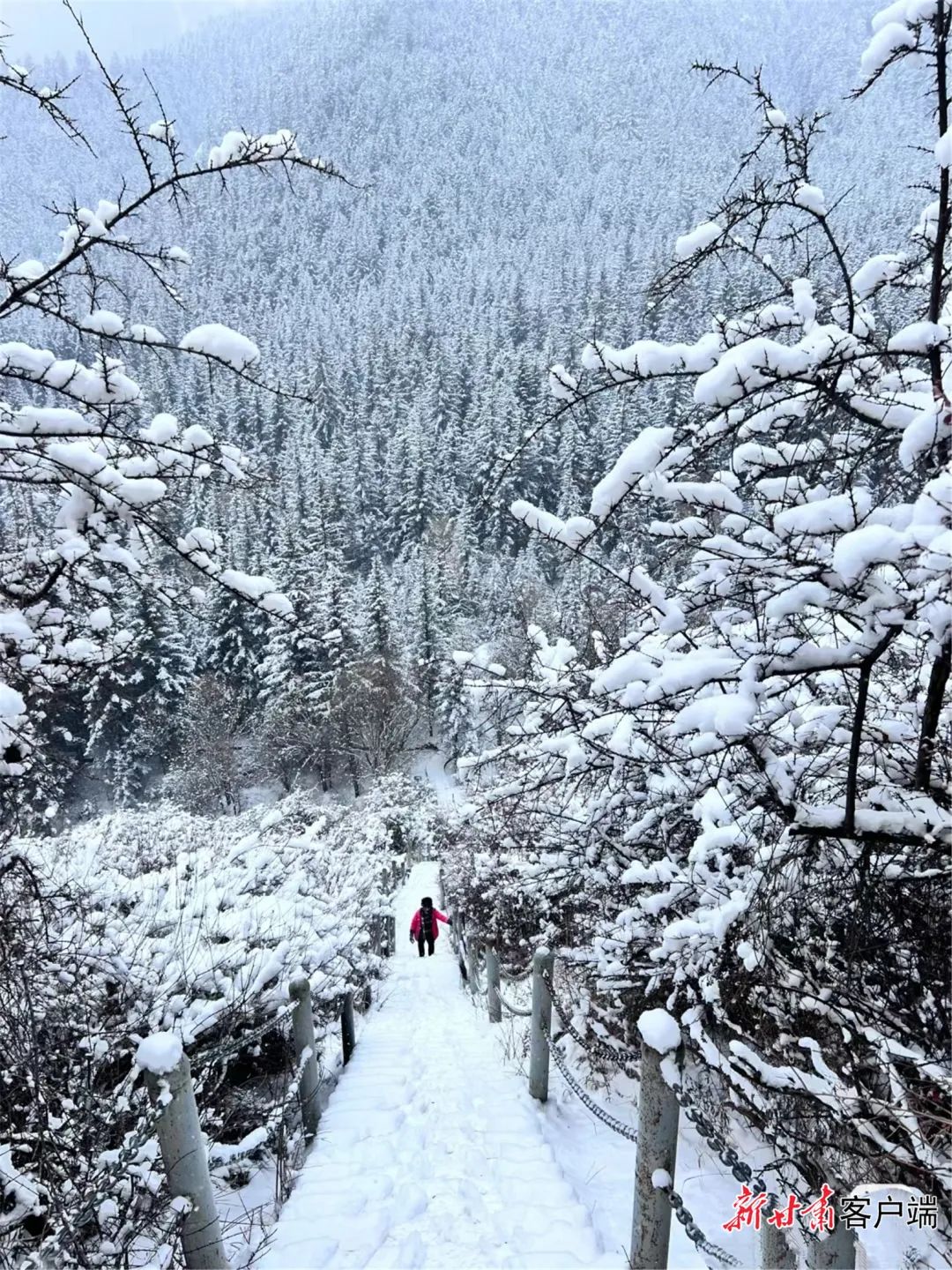 未来两天甘肃部分地区仍有降水天气|张掖市_新浪财经_新浪网