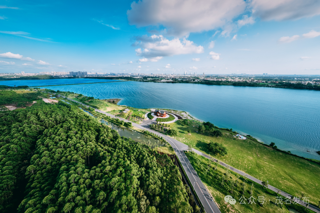 不负春光,一起为茂名的春天充"植"!_新浪财经_新浪网