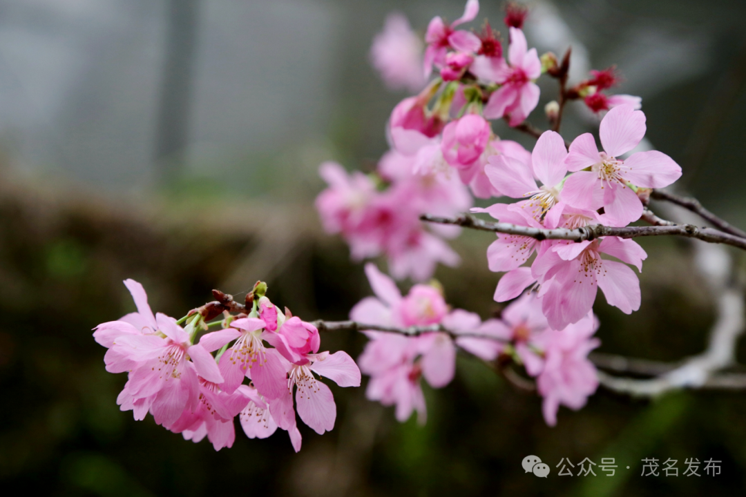 新浪财经_新浪网