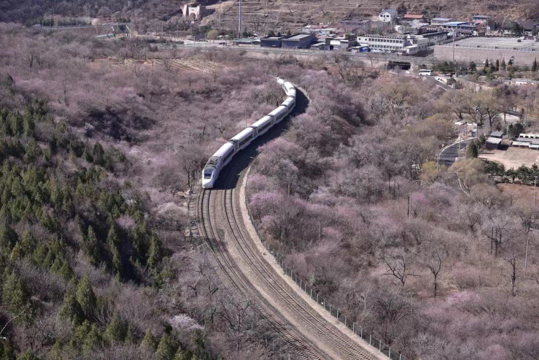 居庸关花海栈道开放首日,摄影师镜头下的"春暖花开"很养眼