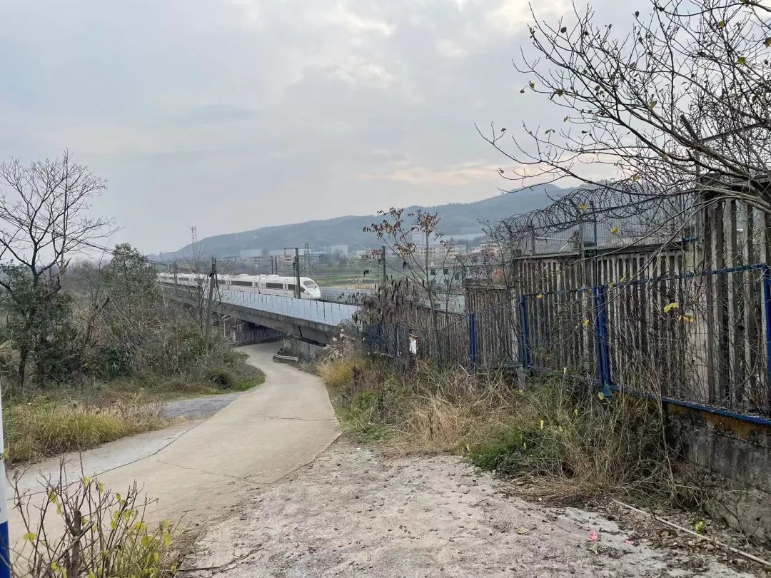 他是校长我不敢反抗一起隐匿在乡村小学的性侵案
