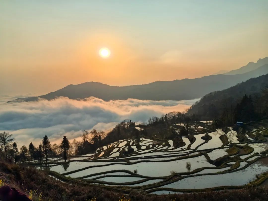 新时代 新征程 新伟业丨接续农耕文明 奏响生态乐章!红河州哈尼梯田活