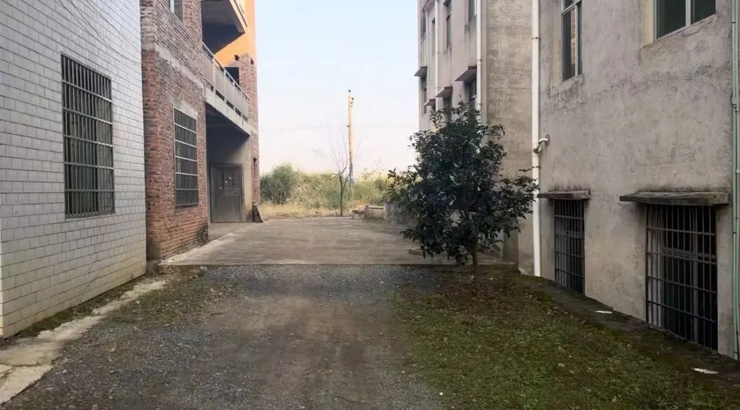 他是校长我不敢反抗一起隐匿在乡村小学的性侵案