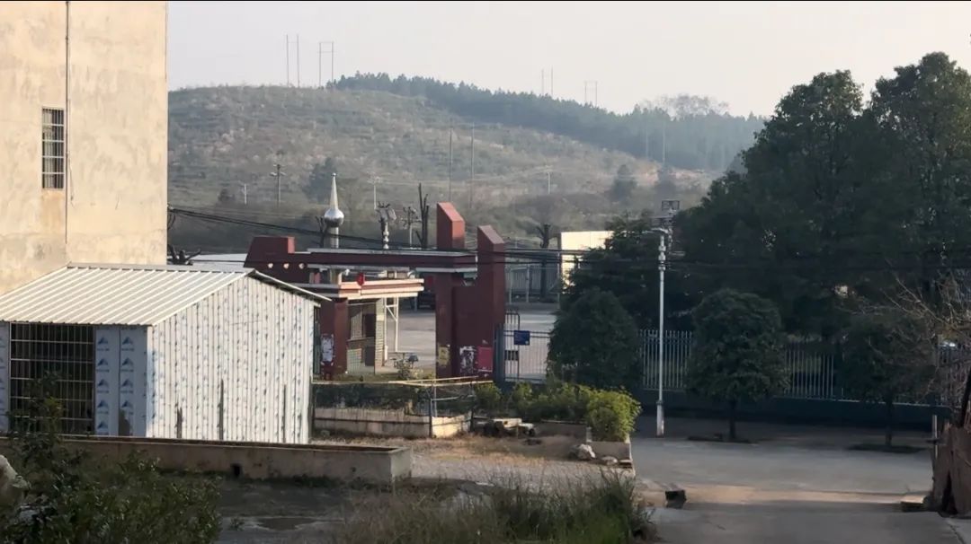 他是校长我不敢反抗一起隐匿在乡村小学的性侵案