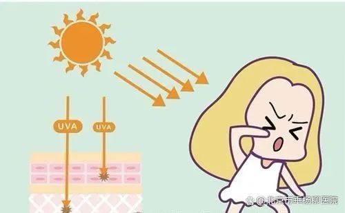 三月春风起,健康守护需留心|升温季节警惕这些疾病|疾病_新浪财经