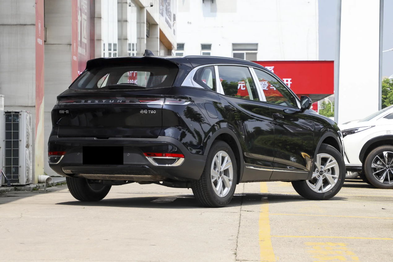 春游安排起来奔腾t90带你解锁诗和远方