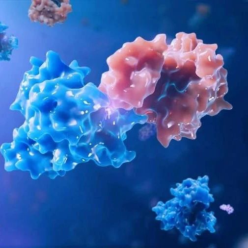 重磅！分子胶产业动态报告出炉|分子量_新浪新闻