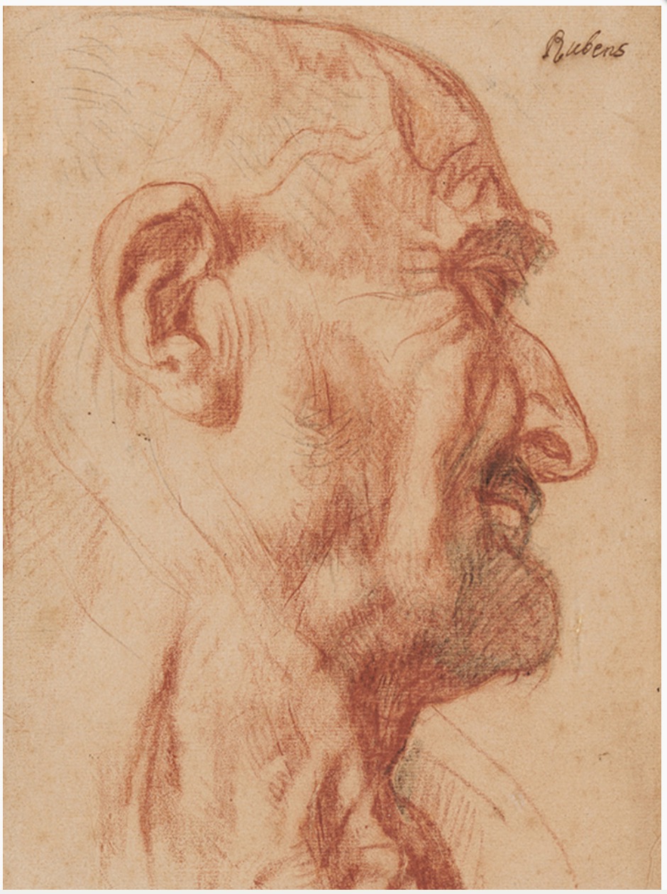 雅各布·乔丹斯,《秃头男子头像》,约1645年,08阿什莫尔博物馆