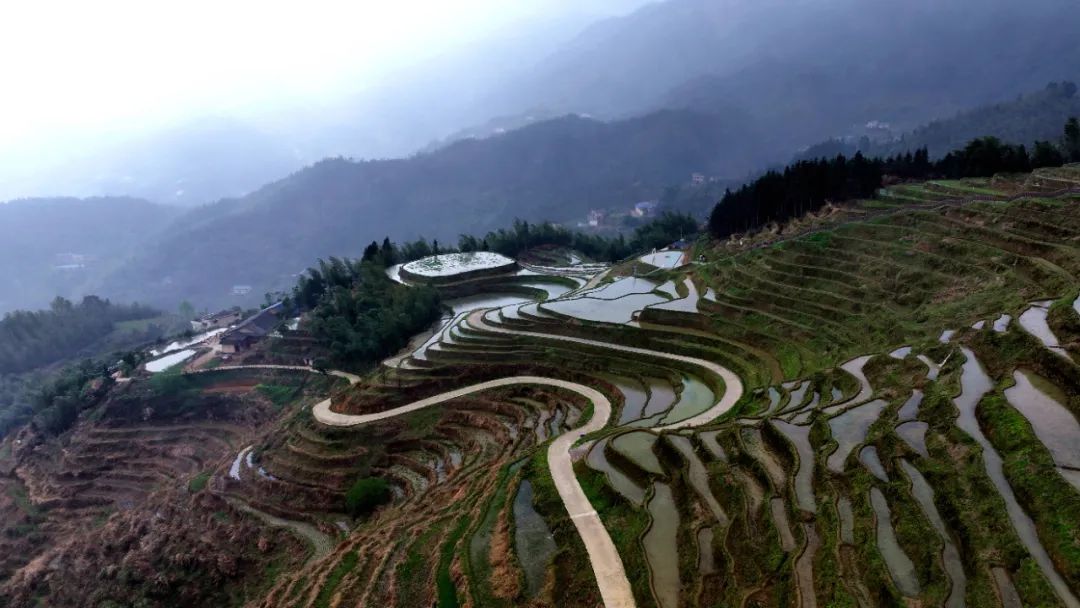 千年茶乡品味遂川江西摄影名家走进茶乡遂川