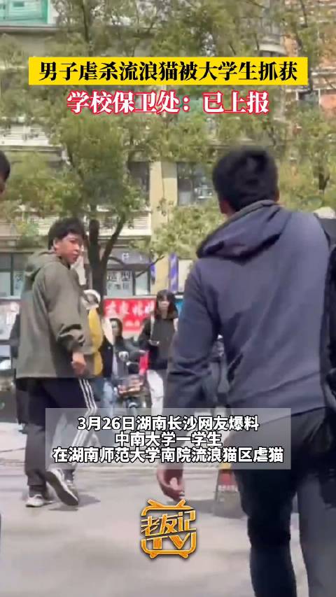 警方回应网传大学生虐猫被抓现行 :案件正在侦查|大学生|流浪猫|派出所_新浪新闻