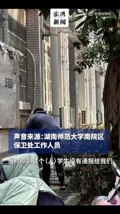 男子校内虐杀流浪猫被大学生抓获,学校保卫处:已上报_新浪新闻