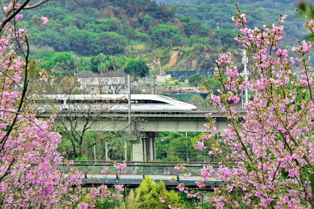 分享你眼里的最美铁路春景