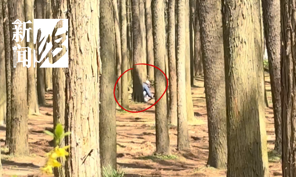 上海人最近迷上"打野"?