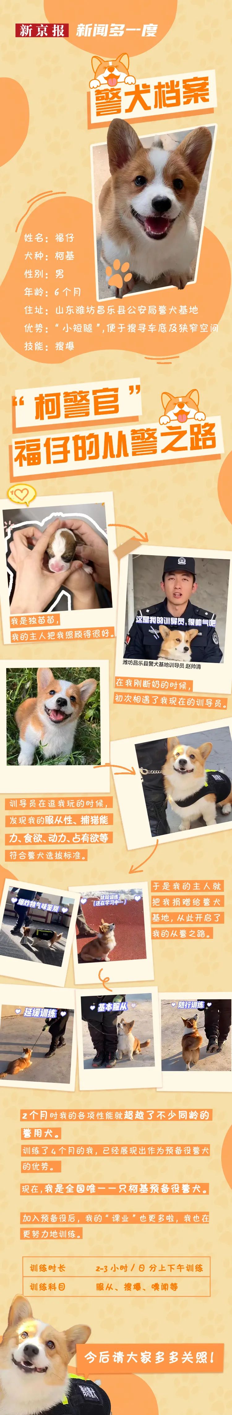 警犬_新浪财经_新浪网