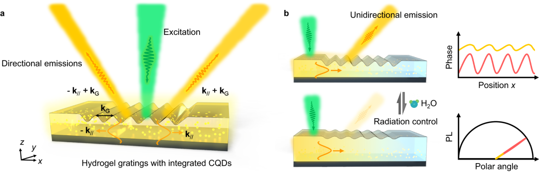 图 | 量子点集成的水凝胶微光栅实现荧光辐射操控和可切换单向荧光辐射（来源：Nature Communications）