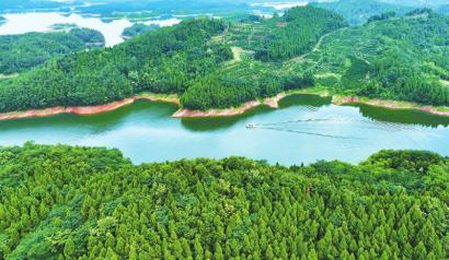 眉山市仁寿县黑龙滩水库,是全县重要饮用水水源地.