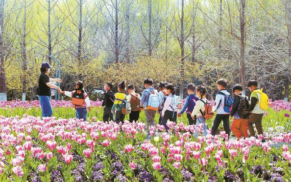 在闵行体育公园里,一群幼儿园小朋友在大自然中寻觅和感知美好春色 杨