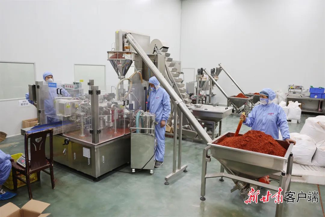 天水市麦积区一企业的辣椒生产加工车间.新甘肃·甘肃日报记者 冯乐凯