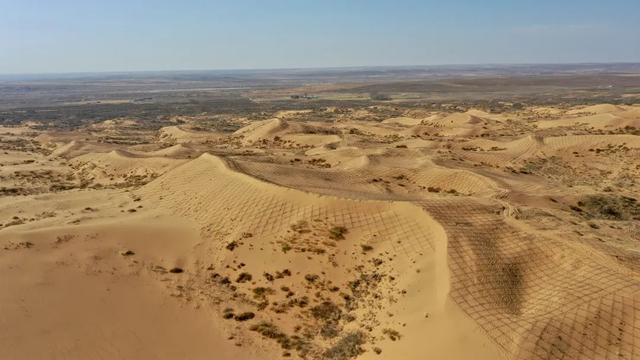 毛乌素沙地南缘，沙地植物跟随着沙障向沙漠腹地延伸。