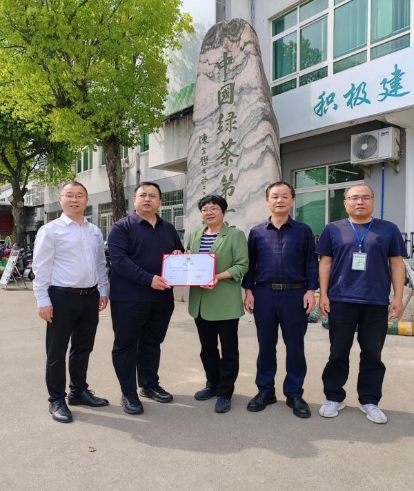 浙江省松阳县"中国生态香茶之都"区域品牌 推动新质生产力发展与生态