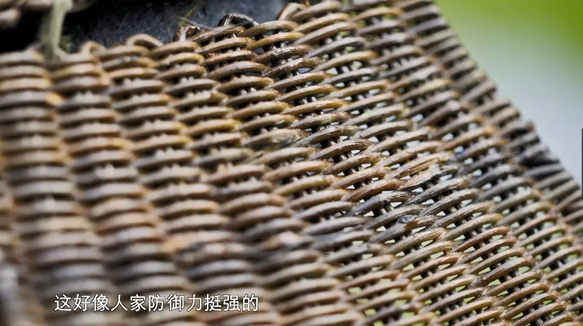 央视这部宝藏纪录片又更新了|典故_新浪财经_新浪网