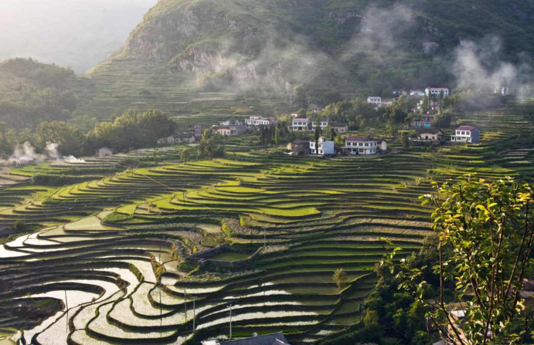 凤堰古梯田观光体验区