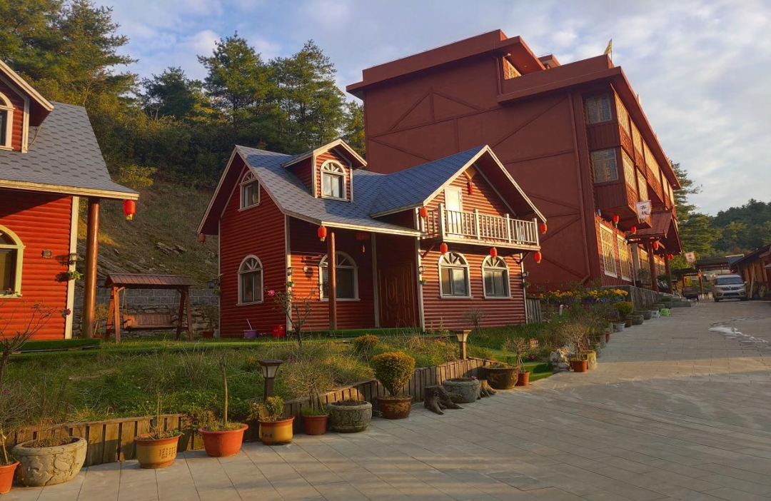 李家坪村草坝农庄体验区黎坝镇油菜花观赏区15.