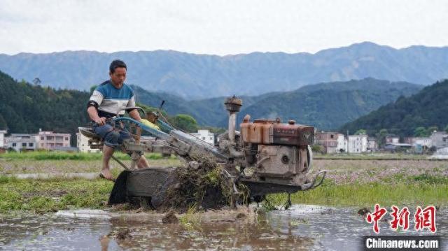 图为农户在稻博园农田里用农机翻田。杨宗盛 摄