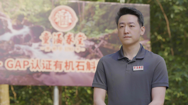 走进云南耿马百年老字号高标准建石斛基地让乡村开出致富花