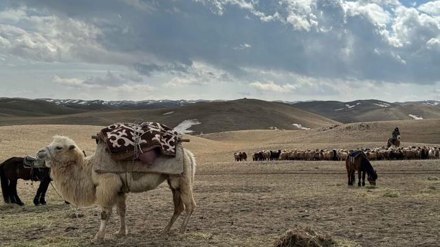 新疆托里打造牧区"幸福驿站" 护航牧民春季转场|新疆_新浪财经_新浪网