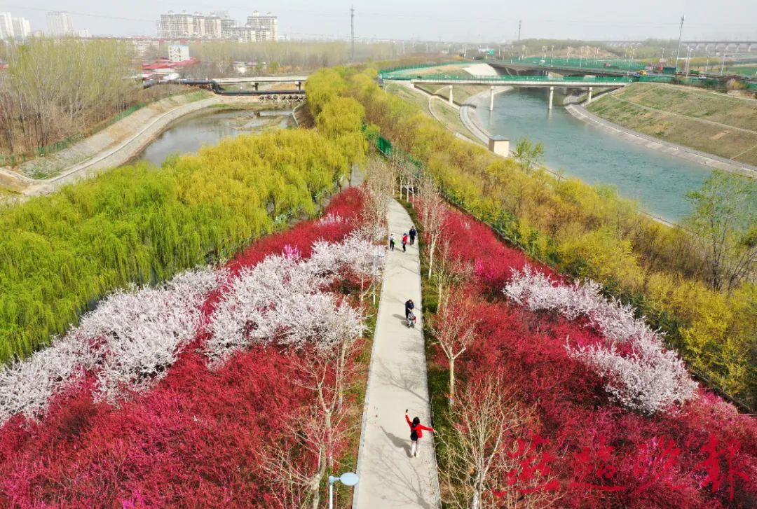 洗目新绿映红蕊一壕春水半城花