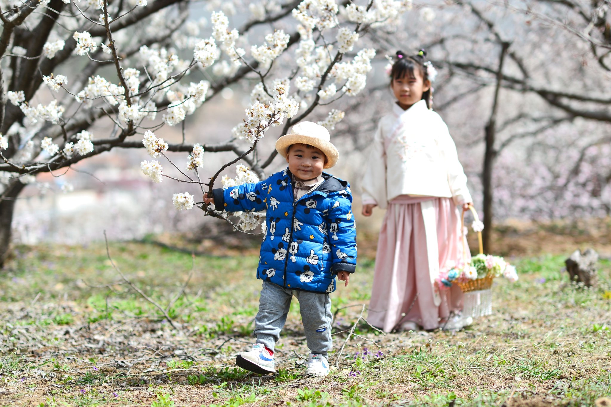       3月29日，在青岛市城阳区夏庄街道山色峪樱桃园，两名小朋友在踏青游玩。王海滨 摄