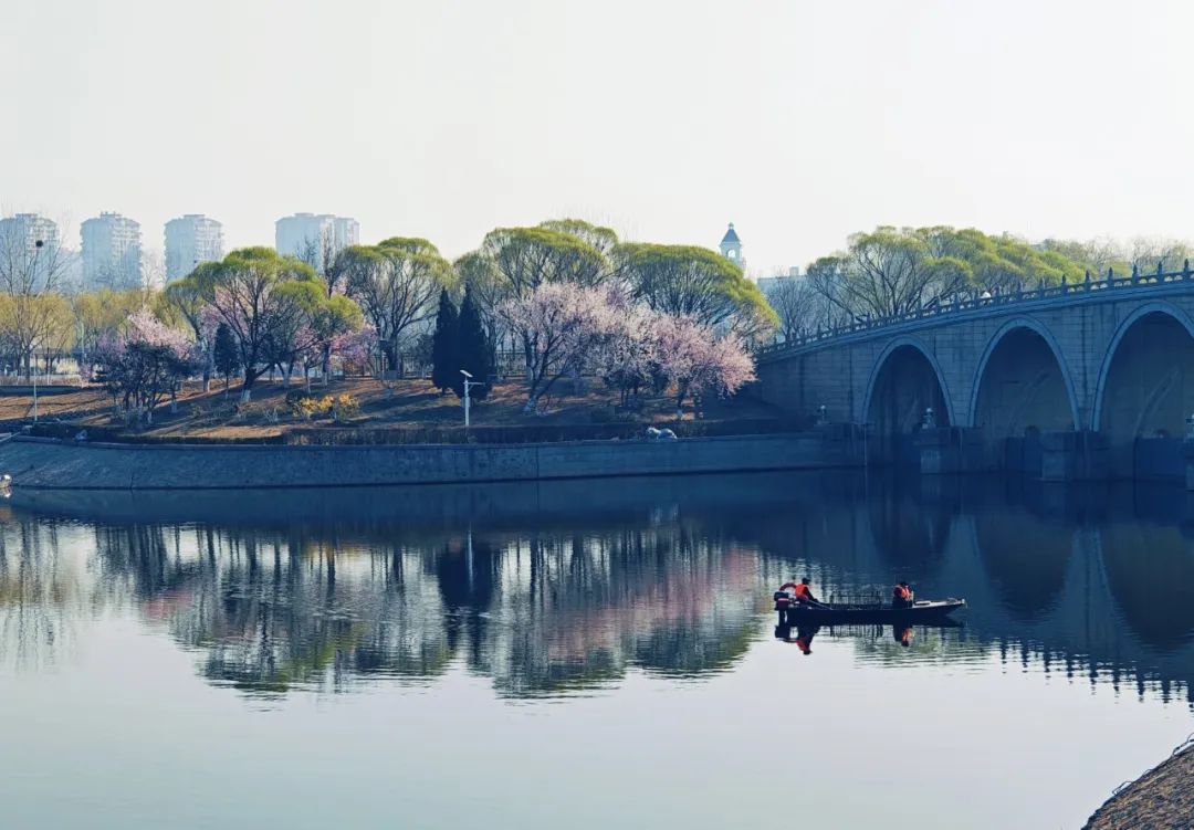 演员姚晨来大运河骑行了又到骑行好时节你心动了吗内附通州大运河绝美