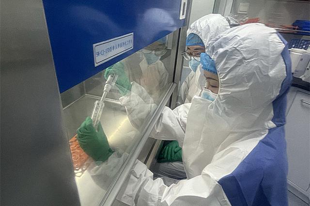 研究团队正在提取古DNA。陕西省考古研究院供图