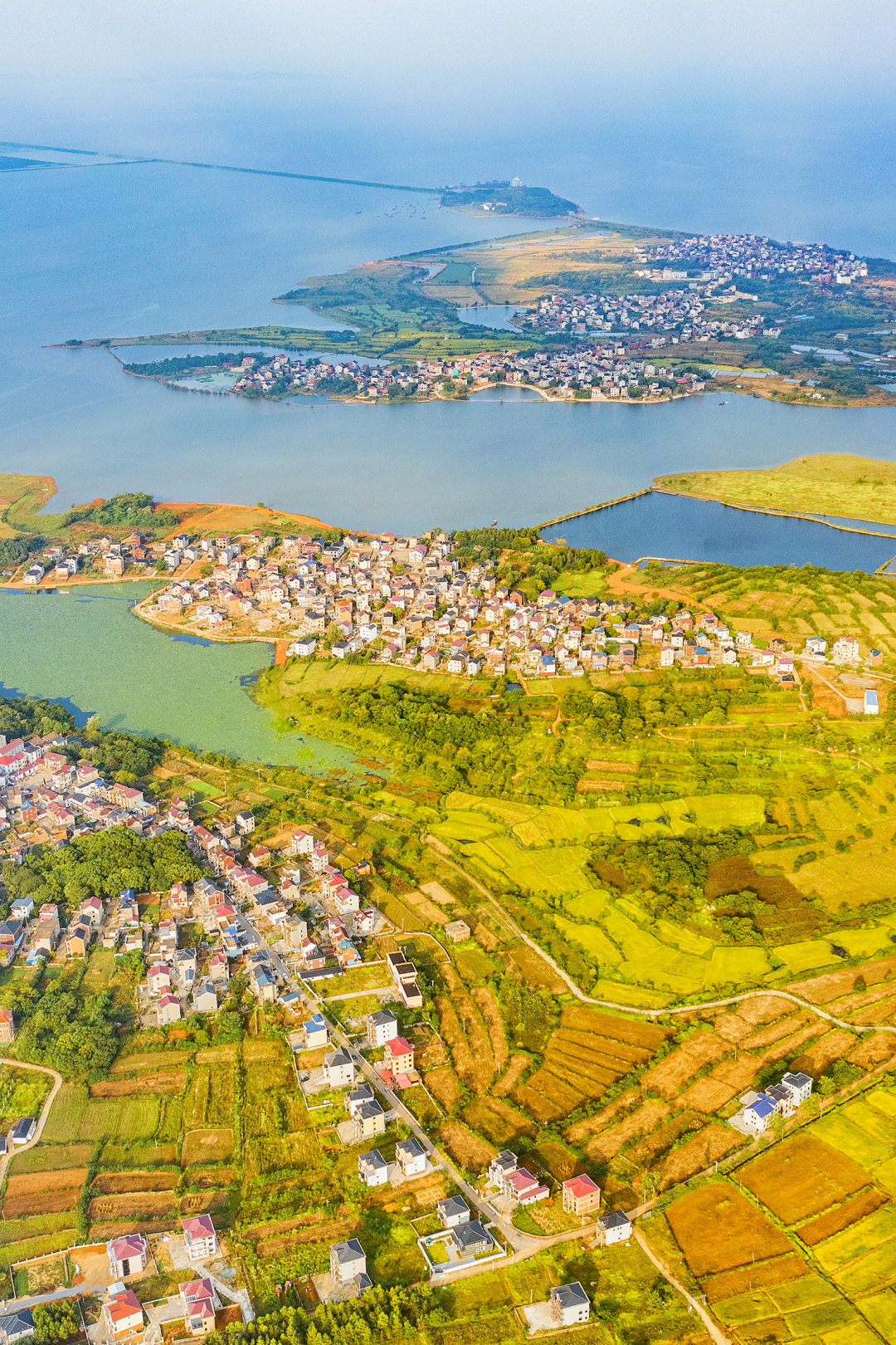 江西不愧为米粉界的扛把子