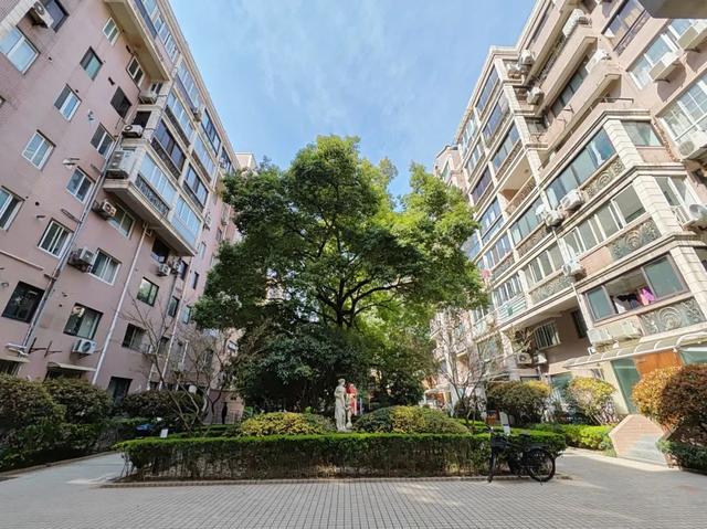 不仅如此,就在数天前,业委会聚焦社区居民的居住环境和生活质量,将