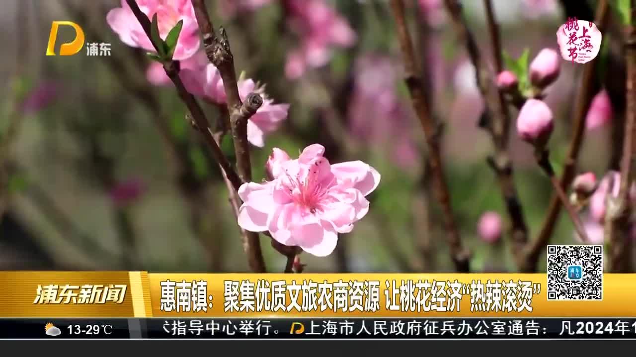 惠南镇:聚集优质文旅农商资源 让桃花经济"热辣滚烫"