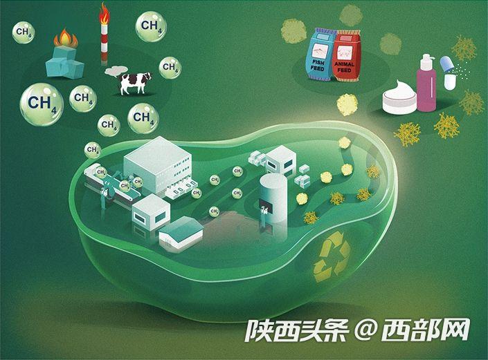 甲烷的有效利用示意图