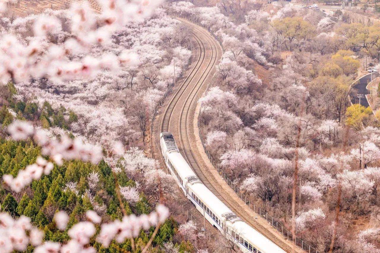 畅享吃住游购居庸关花海赏花游攻略